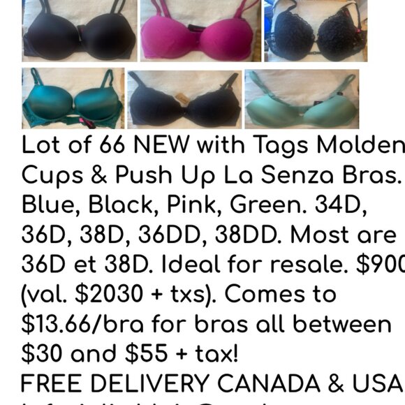 Lot of 66 NEW with Tags Molden Cups & Push Up La Senza Bras. - Picture 1 of 1